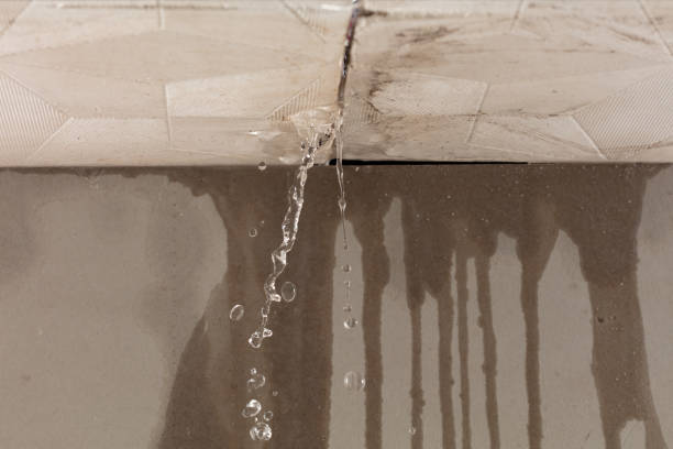 Professional Water Damage Inspection technician working in Ocean Park, WA